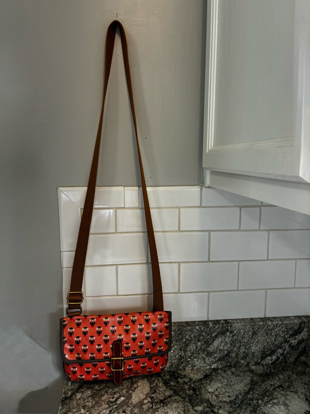 Fossil Owl Print Crossbody - Picture 3 of 15
